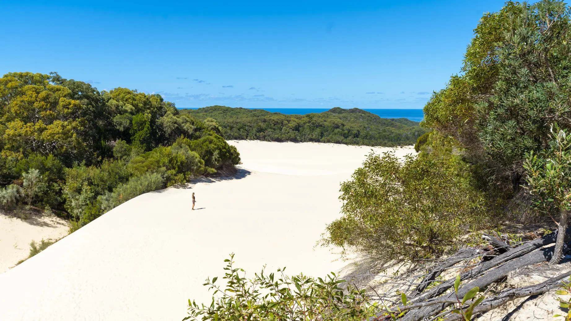 Aus queensland beach
