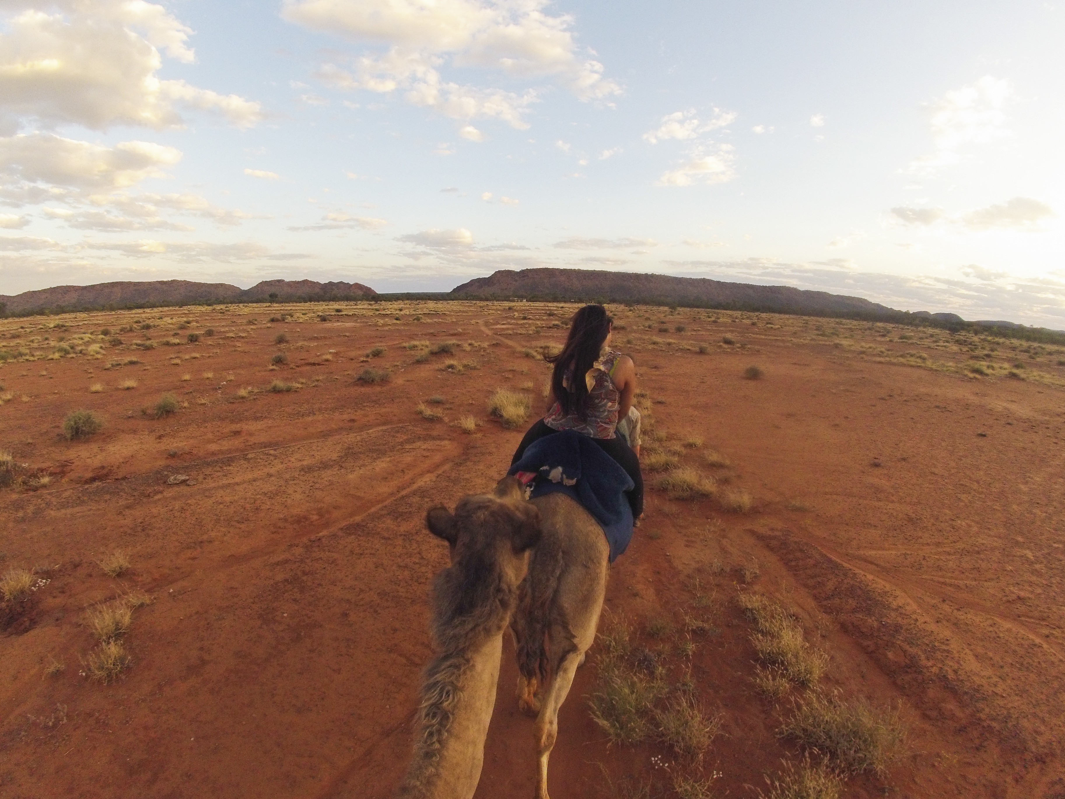Camel Rides Red Centre NT credit Tourism Australia
