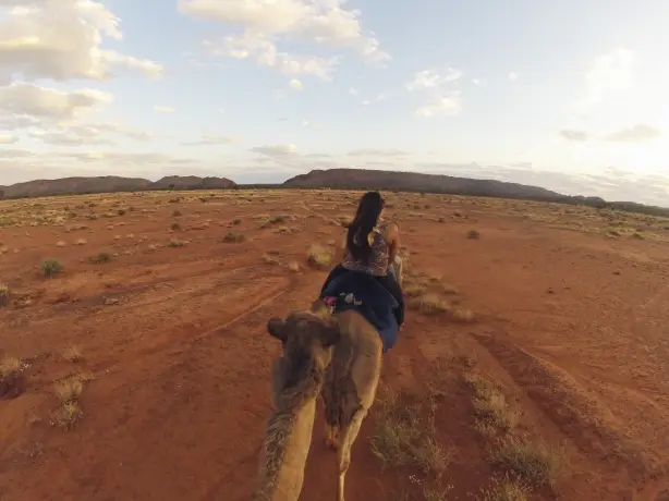 Camel Rides Red Centre NT credit Tourism Australia