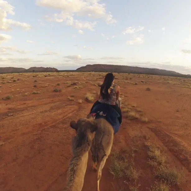 Camel Rides Red Centre NT credit Tourism Australia