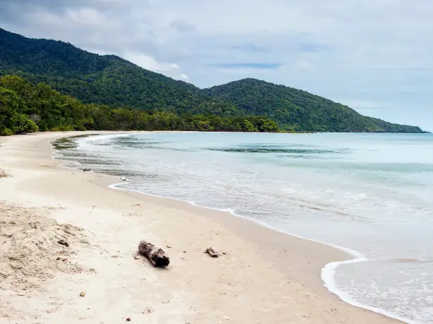Cape Tribulation 2