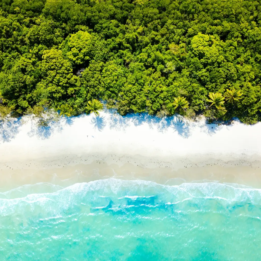 Cape Tribulation aerial