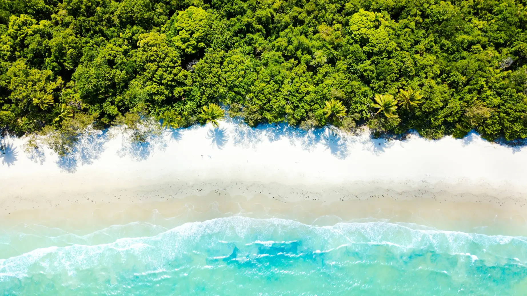 Cape Tribulation aerial