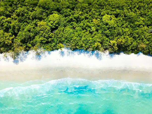 Cape Tribulation aerial