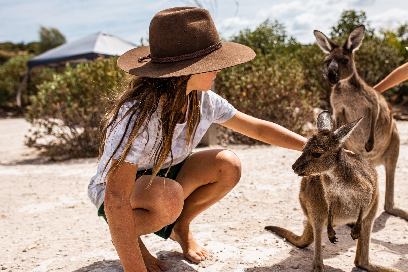 Aus Eyre Peninsula Coffin bay