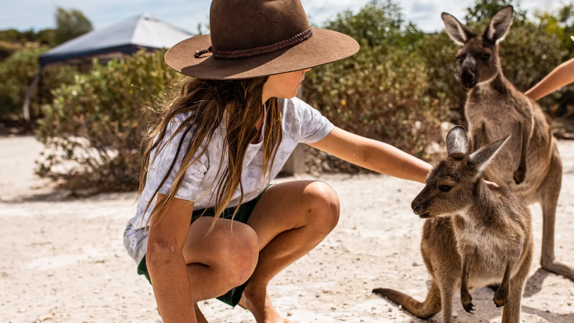 Aus Eyre Peninsula Coffin bay