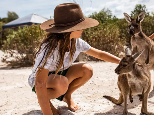 Aus Eyre Peninsula Coffin bay