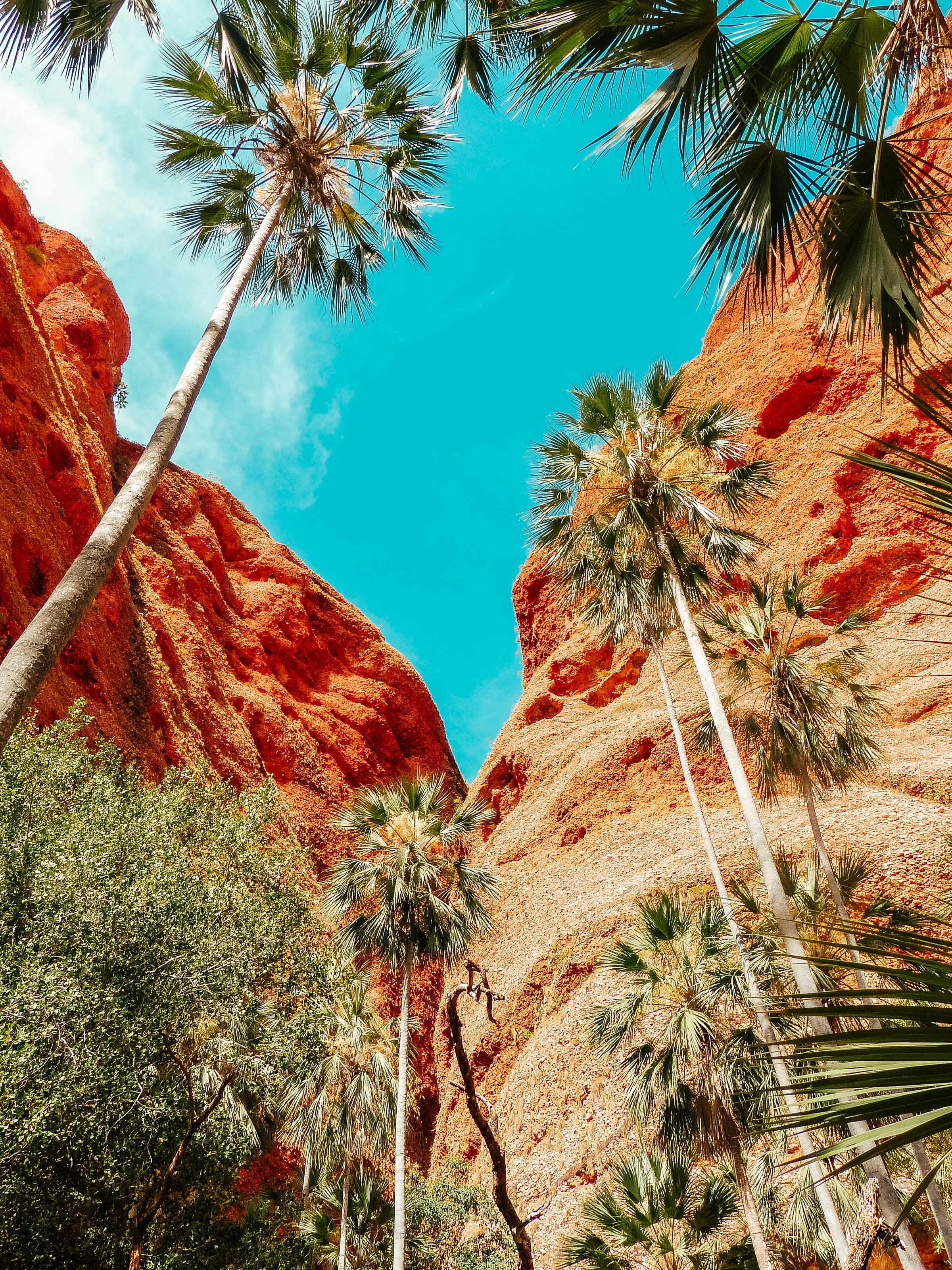 Aus nt central australia view luisa denu unsplash