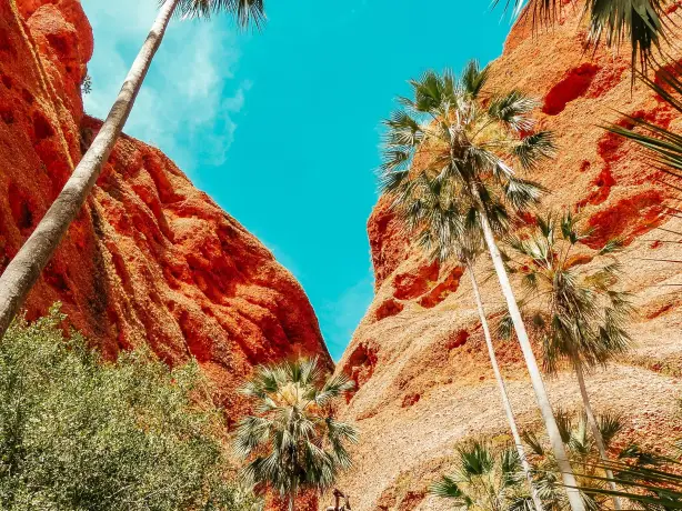 Aus nt central australia view luisa denu unsplash