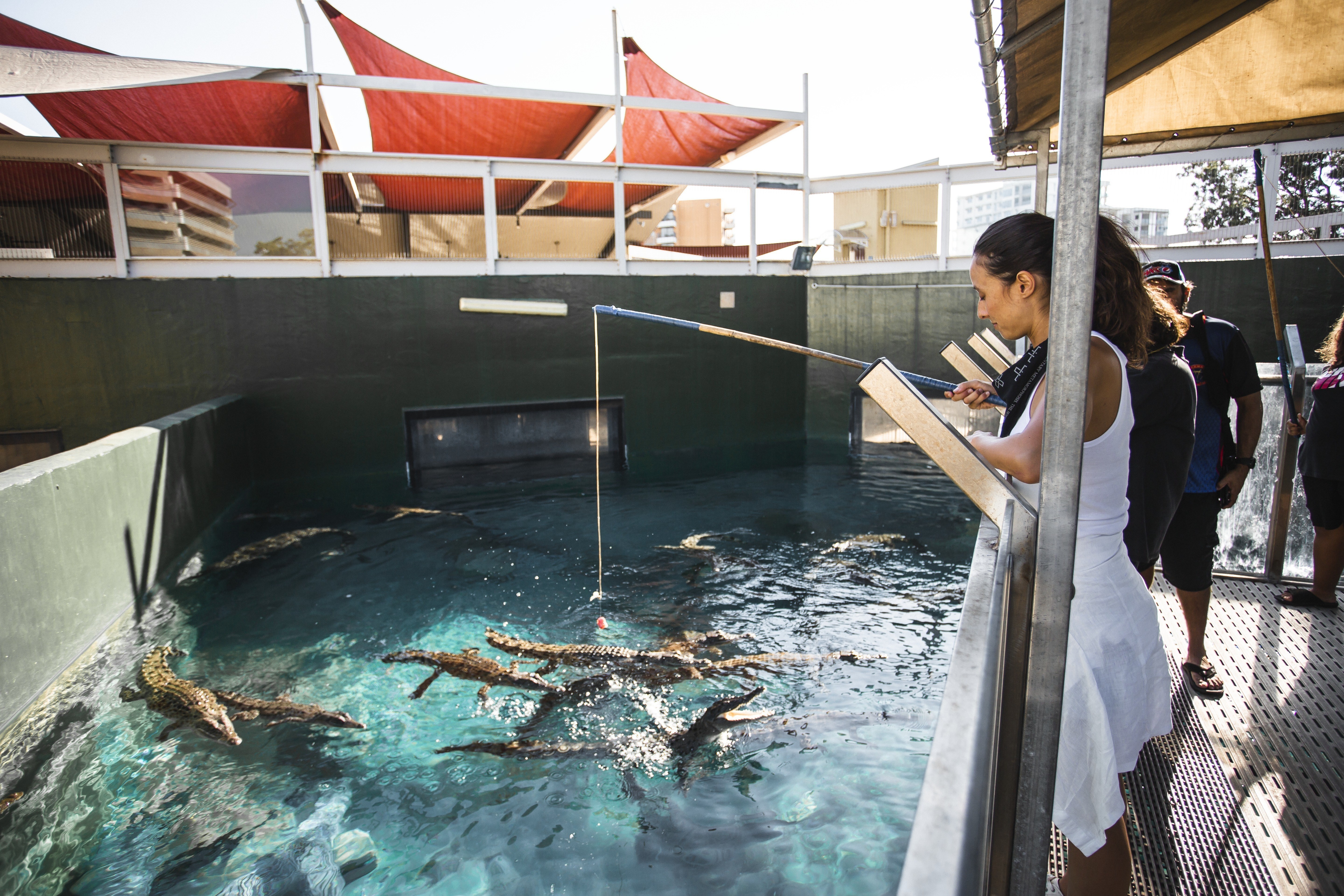 Aus nt darwin Crocosaurus Cove credit Tourism Australia