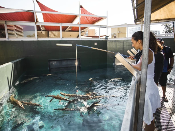 Aus nt darwin Crocosaurus Cove credit Tourism Australia