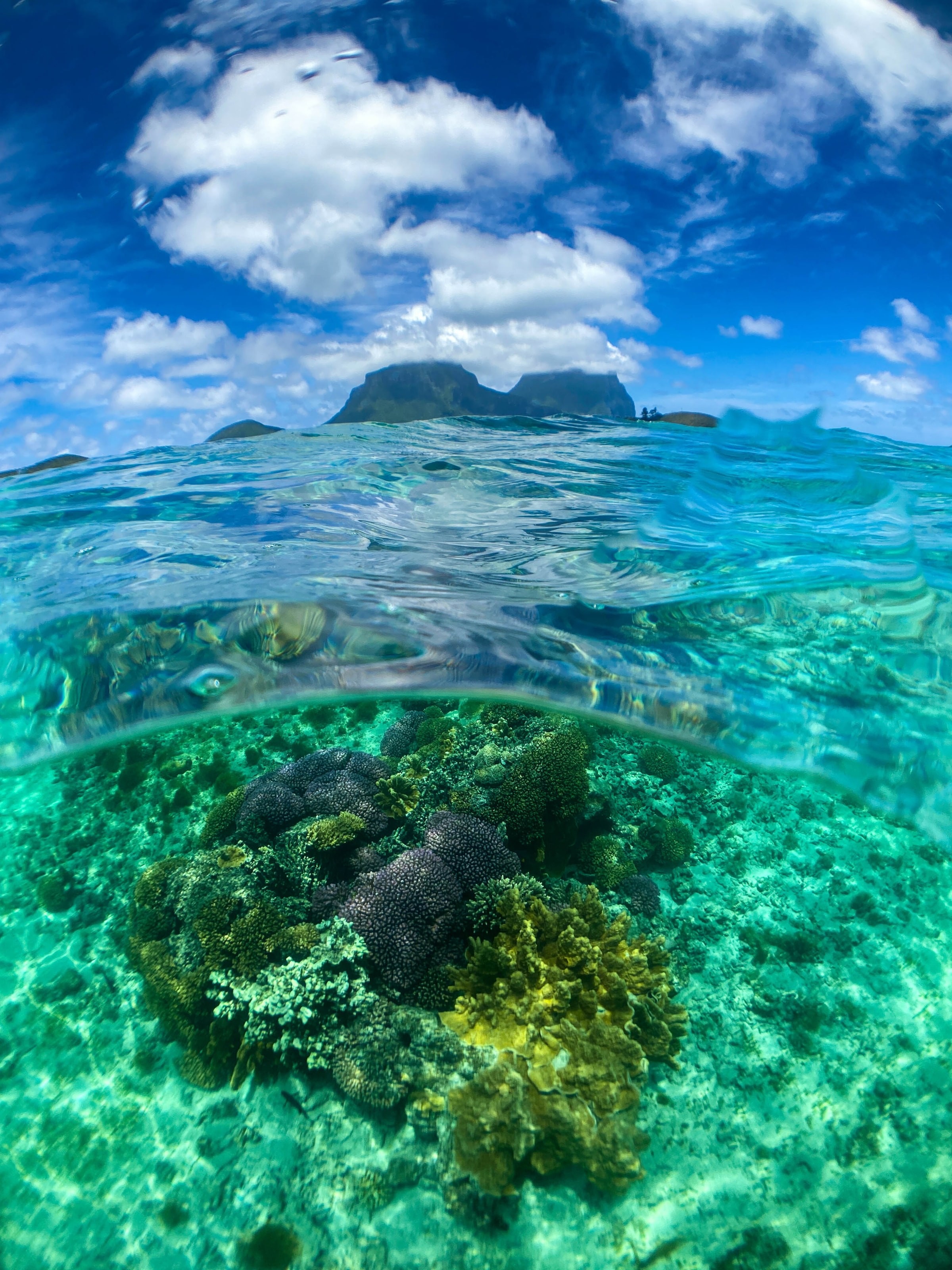 Aus nsw beach lord howe island dylan shaw unsplash