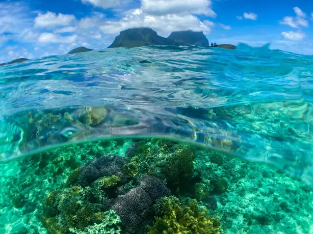 Aus nsw beach lord howe island dylan shaw unsplash