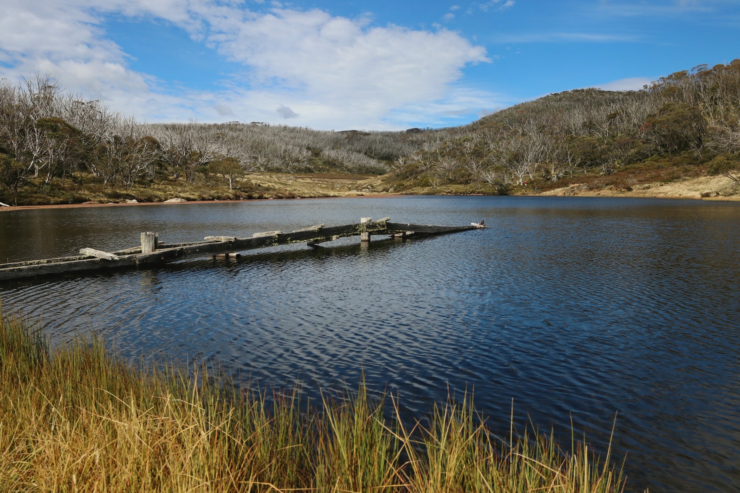 Aus nsw mount kosciuszko national park charlottes pass rainbow lake christian bass unsplash