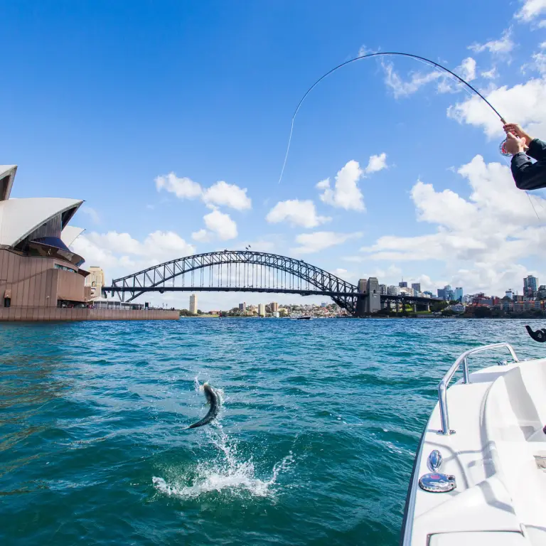 Aus nsw sydney opera house harbour bridge credit Tourism Australia