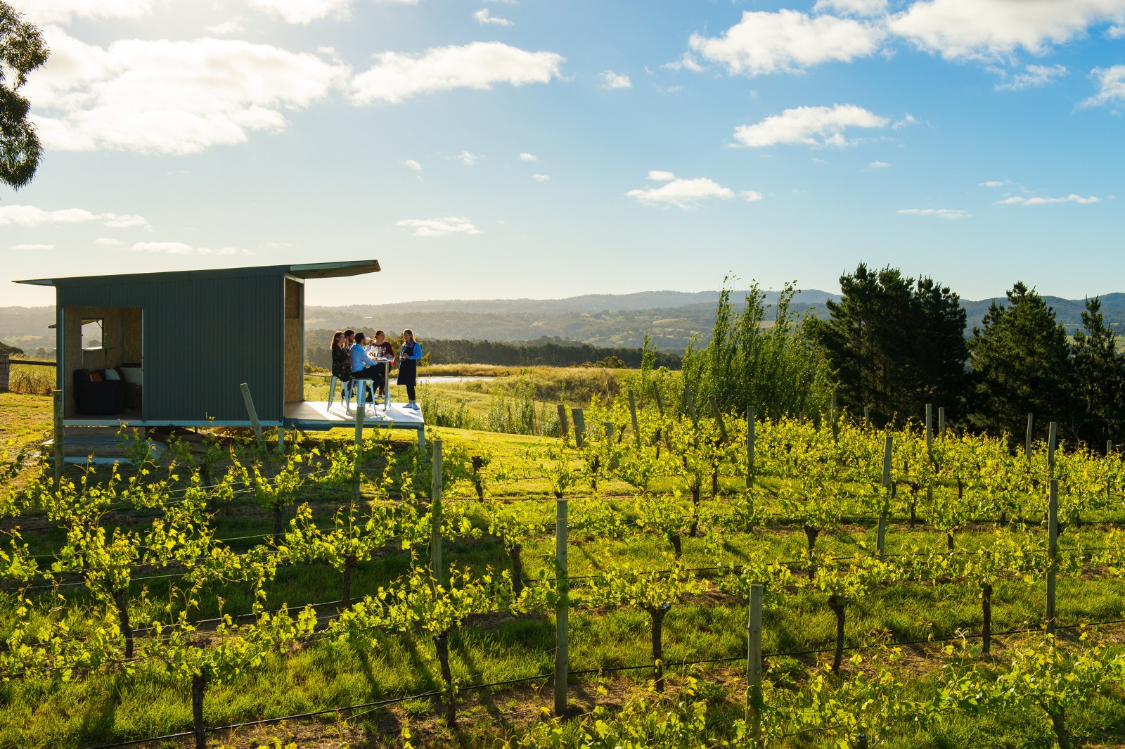 Aus adelaide hills The Lane Vineyard