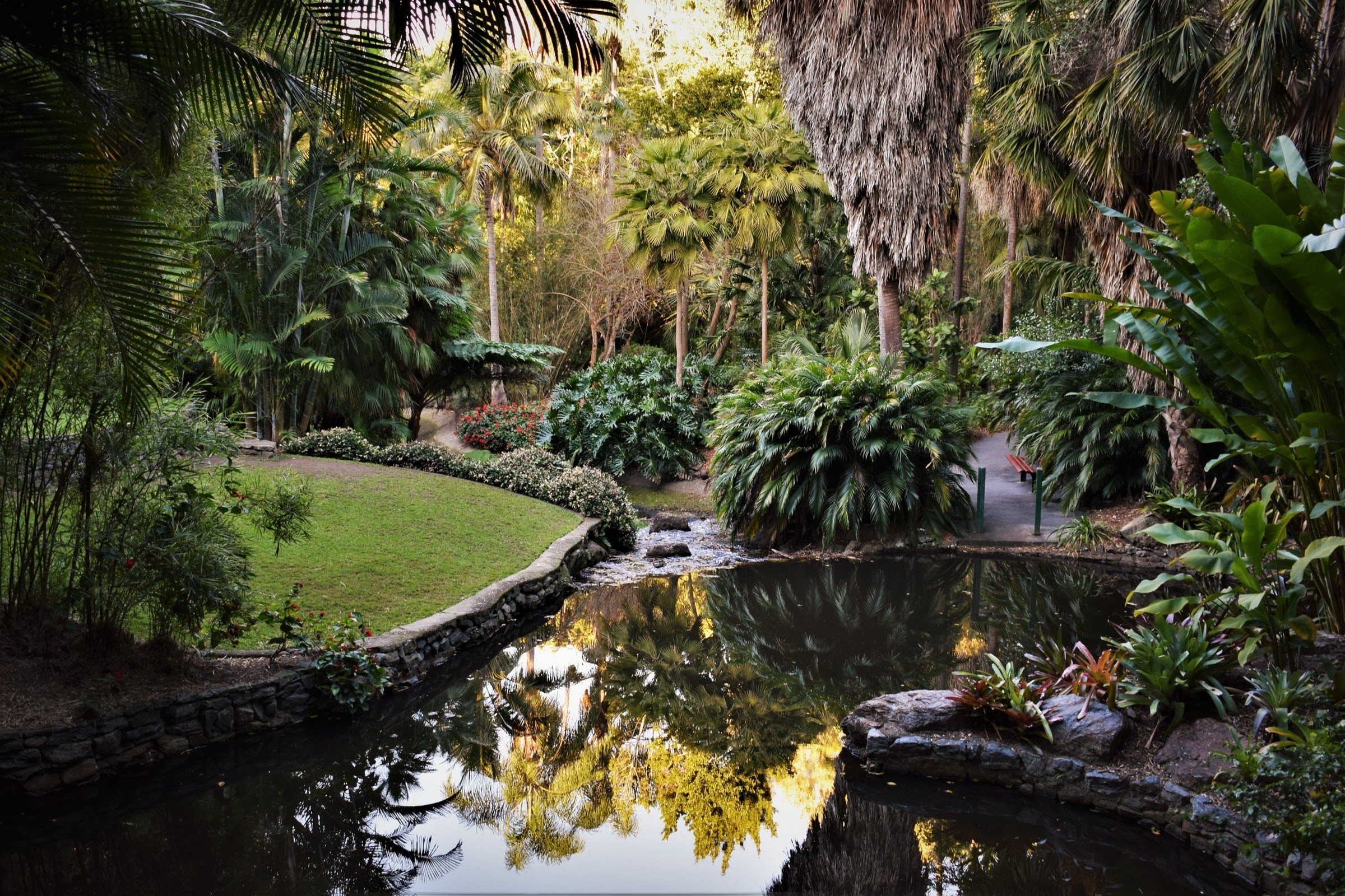 Australien Brisbane botanical gardens