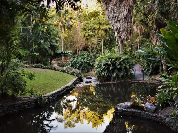 Australien Brisbane botanical gardens