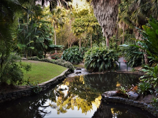 Australien Brisbane botanical gardens