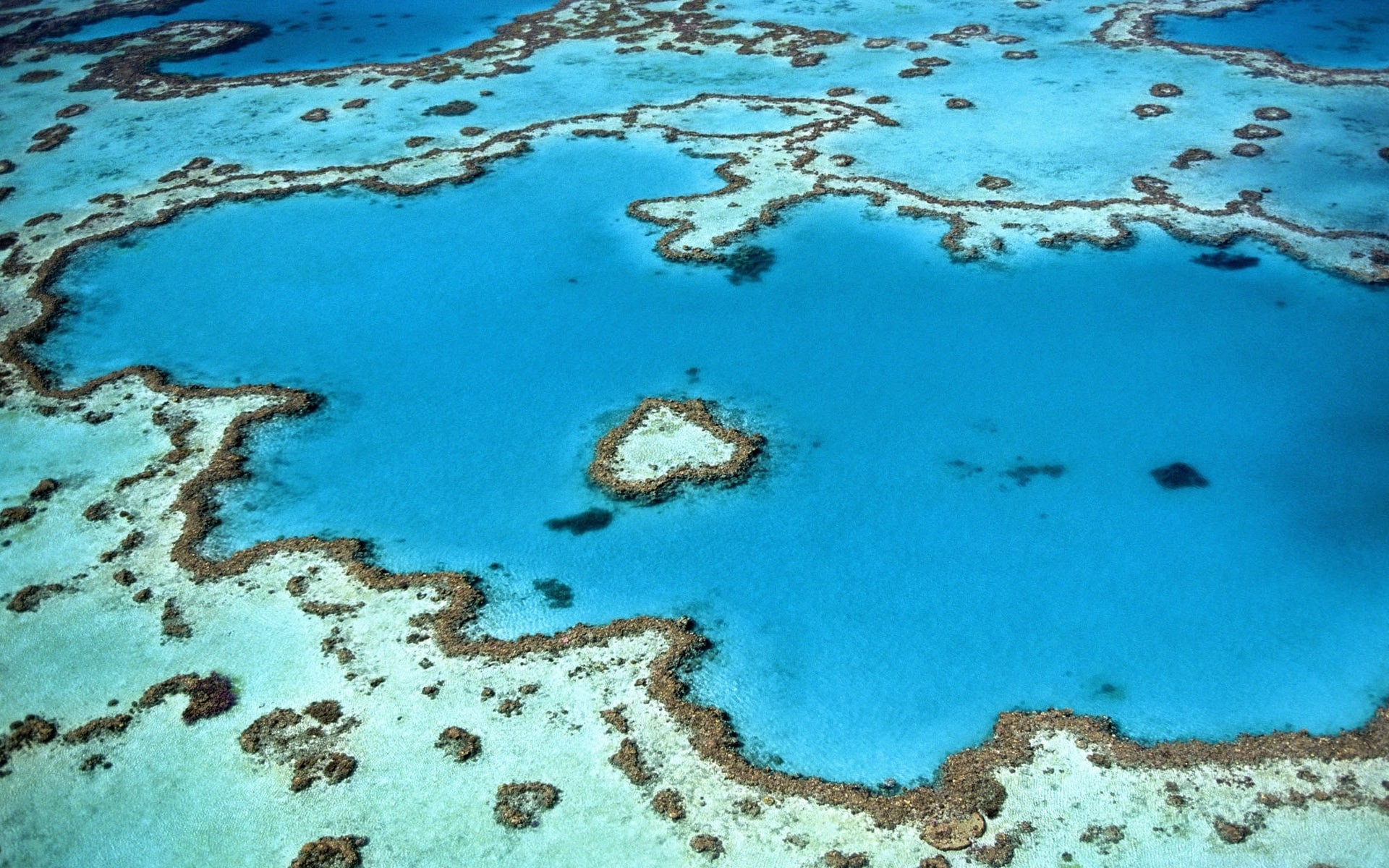 Aus great barrier reef whitsundays heart reef