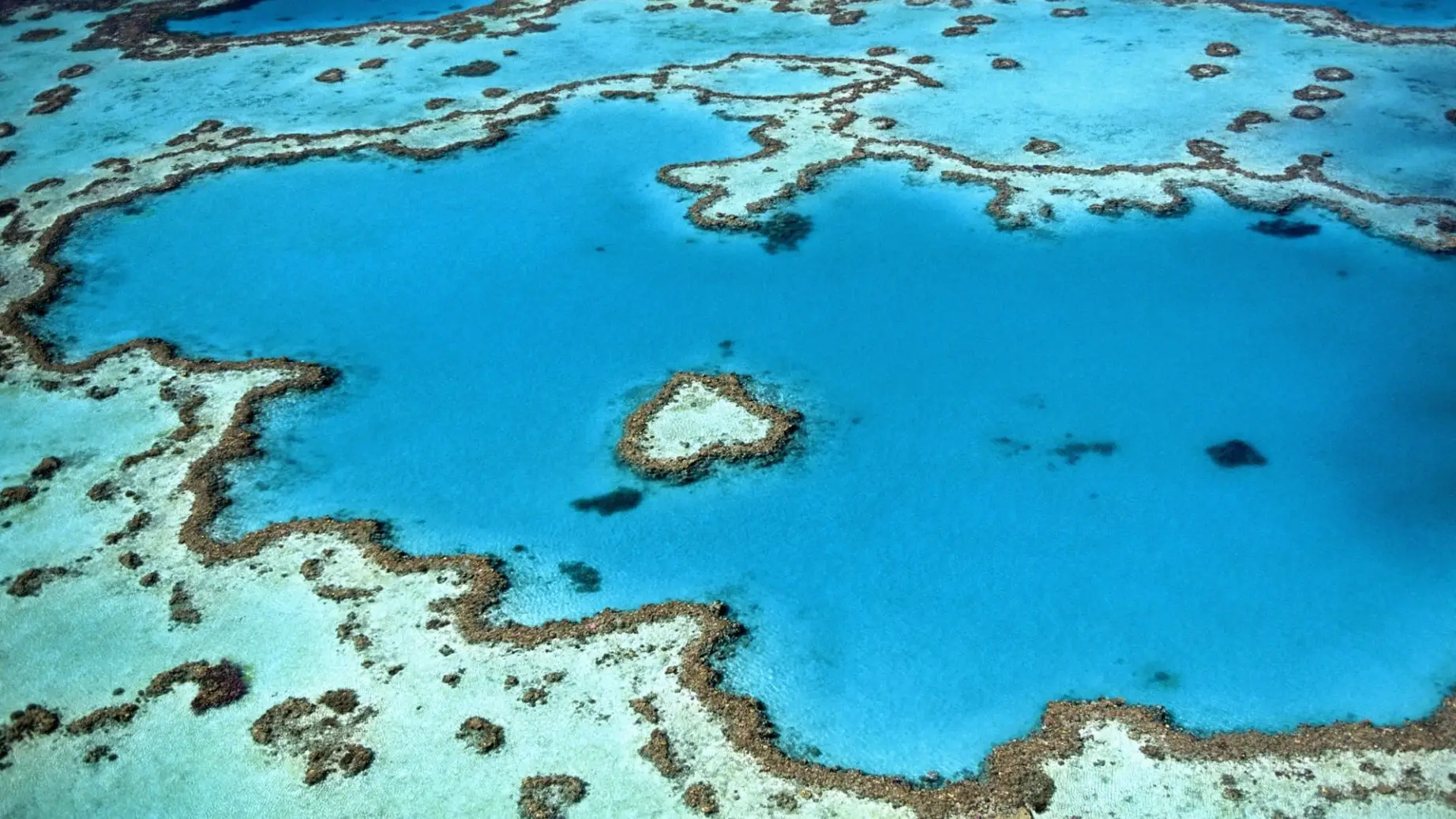 Aus great barrier reef whitsundays heart reef