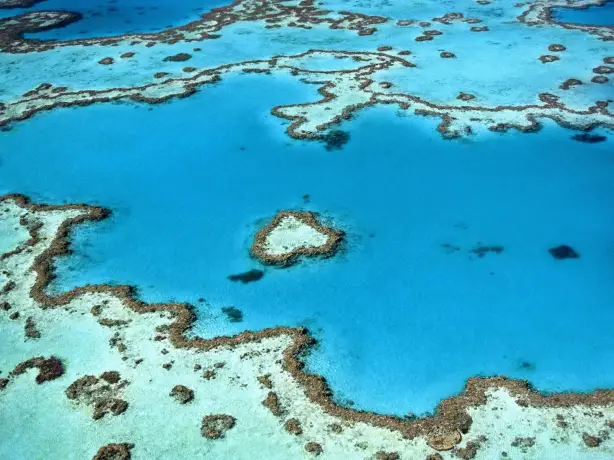 Aus great barrier reef whitsundays heart reef