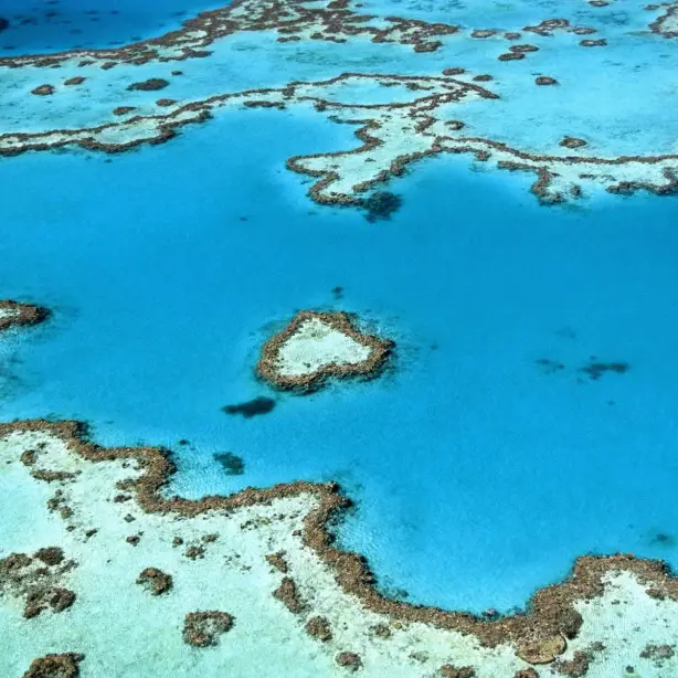 Aus great barrier reef whitsundays heart reef