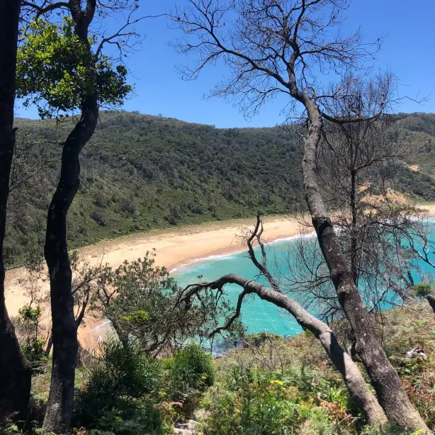 Aus jervis bay booderee national parl nsw nadia levenets unsplash