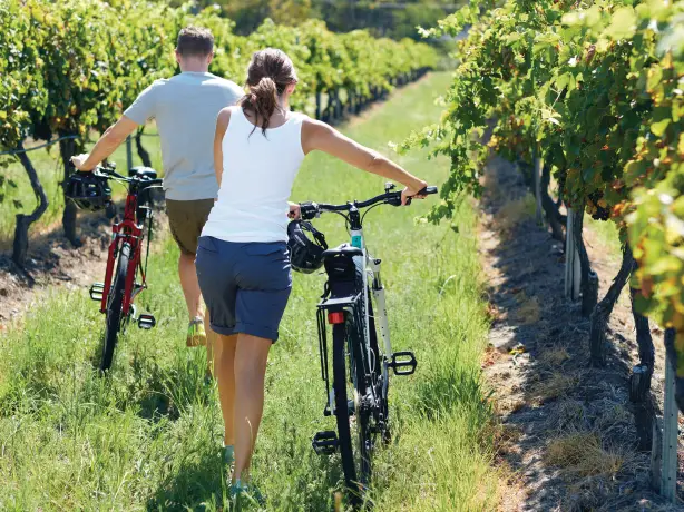 Aus queensland granite belt winery wine cycle credit Tourism and Events Queensland