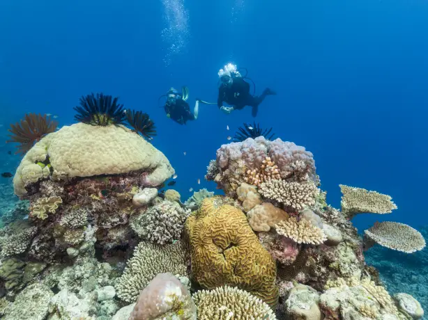 Aus queensland great barrier reef