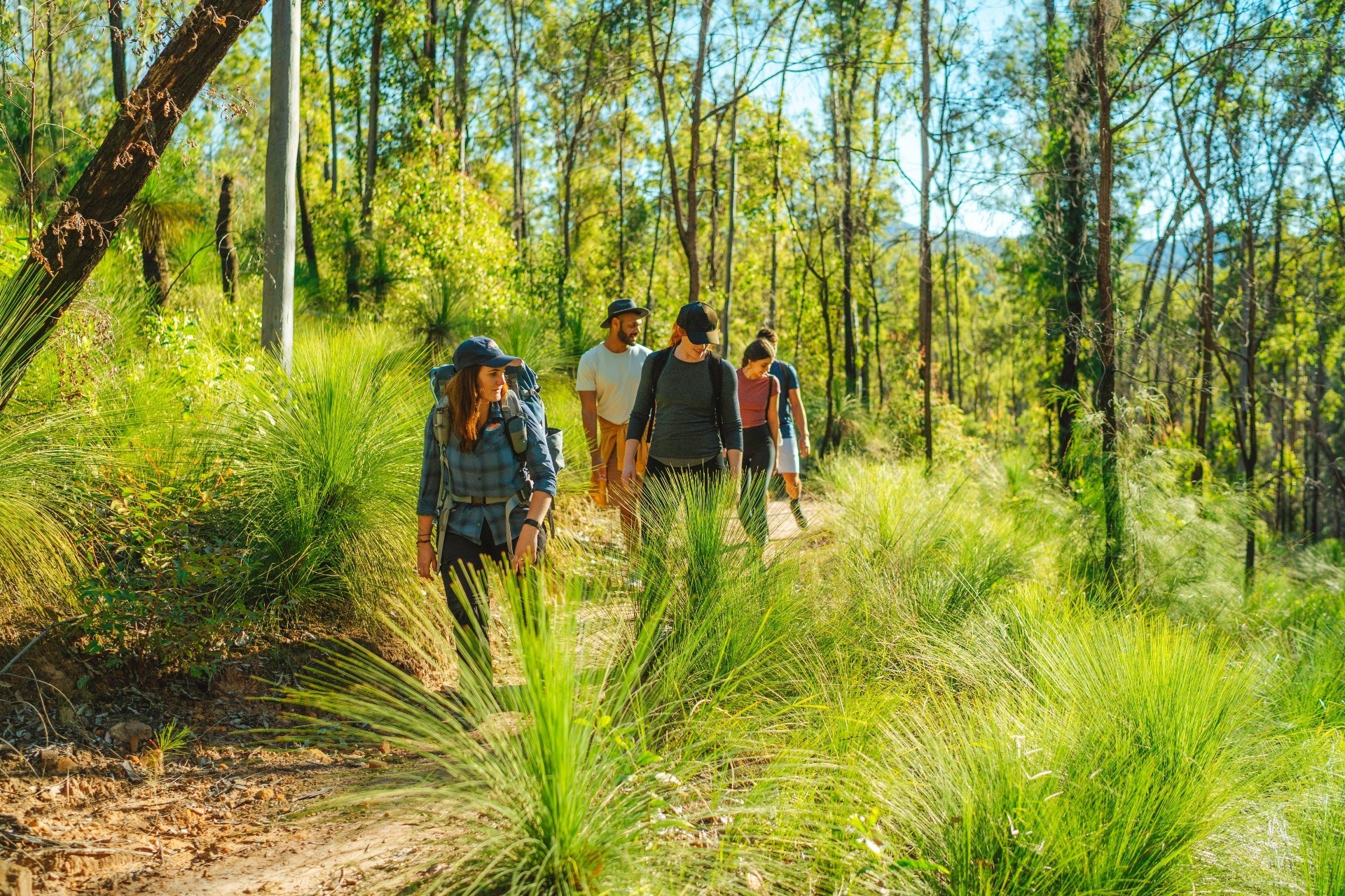 Gruppe von Menschen wandern durch grünen Wald in Australien