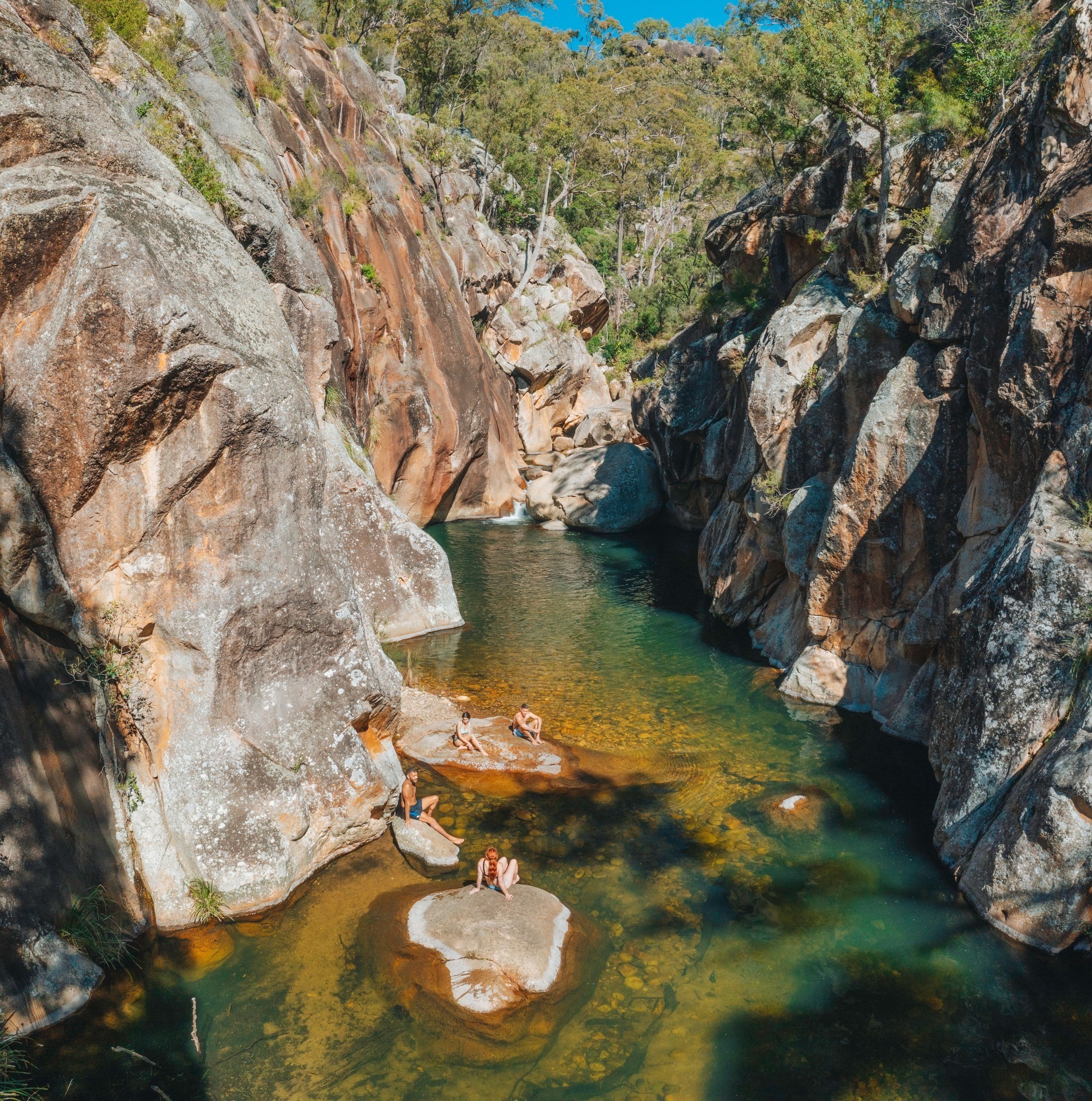 Aus queensland mount barney scenic rim