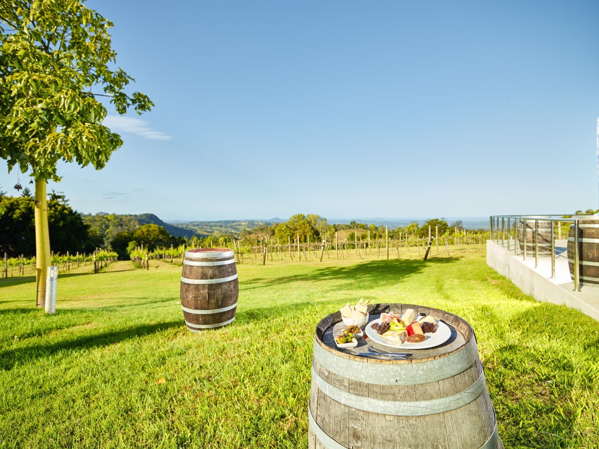Australien Queensland Montville Weinregion