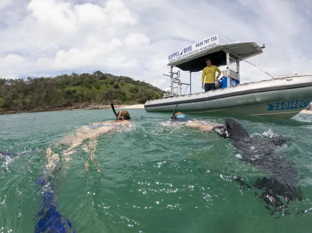 Aus queensland pumpkin island diving credit Tourism and Events Queensland