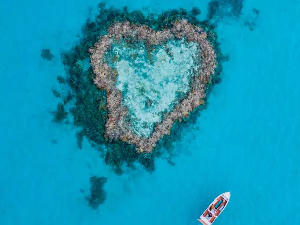 Luftaufnahme vom Heart Reef mit Boot am Great Barrier Reef