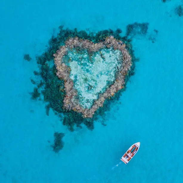Aus queensland whitsundays heart reef credit Tourism and Events Queensland