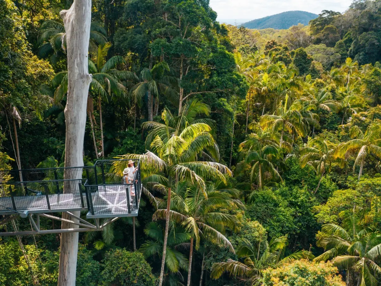 Australien Queensland tamborine skywalk