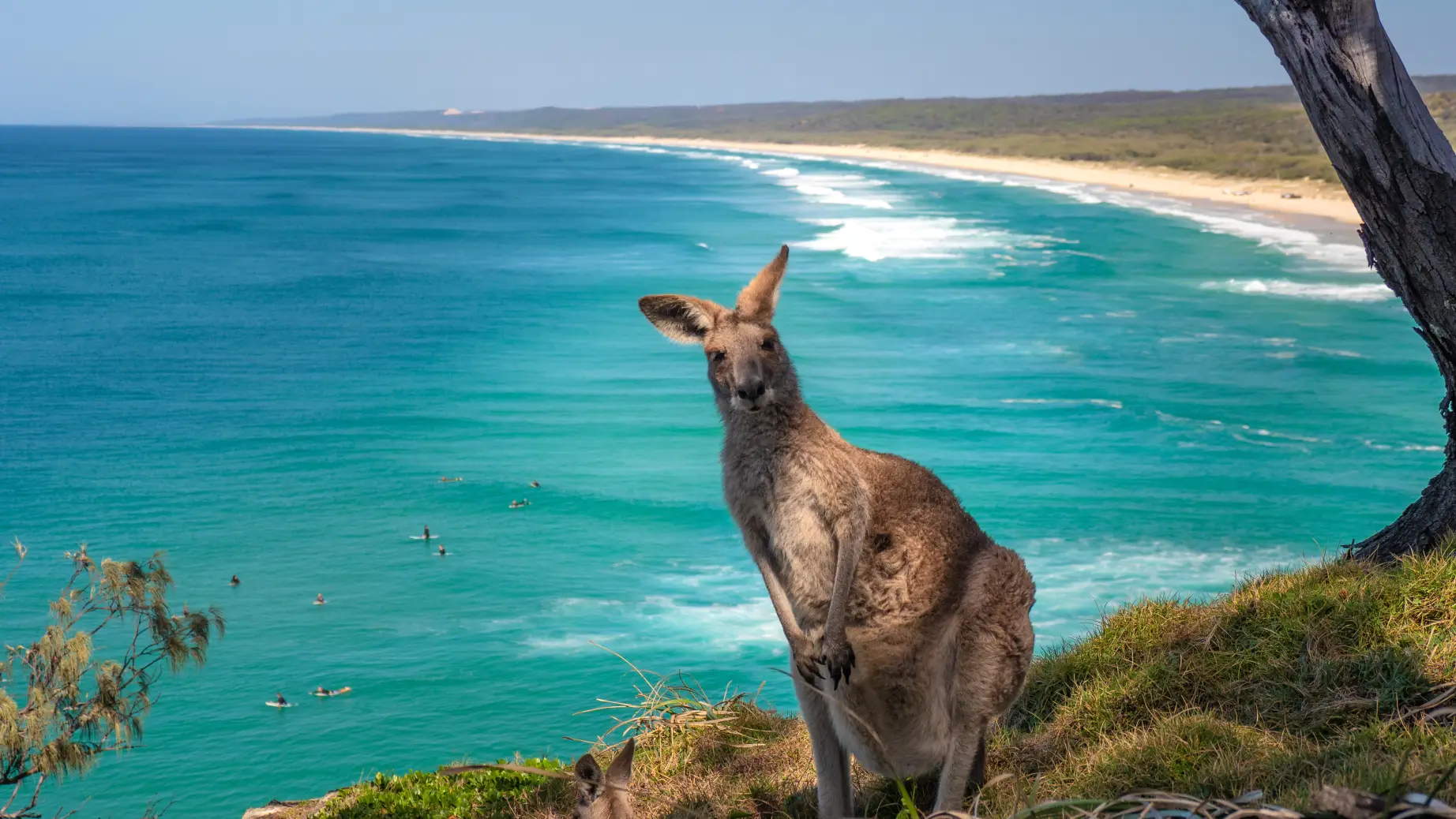 Aus qld brisbane north stradbroke island north gorge walk credit Tourism and Events Queensland