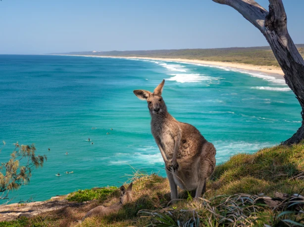 Aus qld brisbane north stradbroke island north gorge walk credit Tourism and Events Queensland