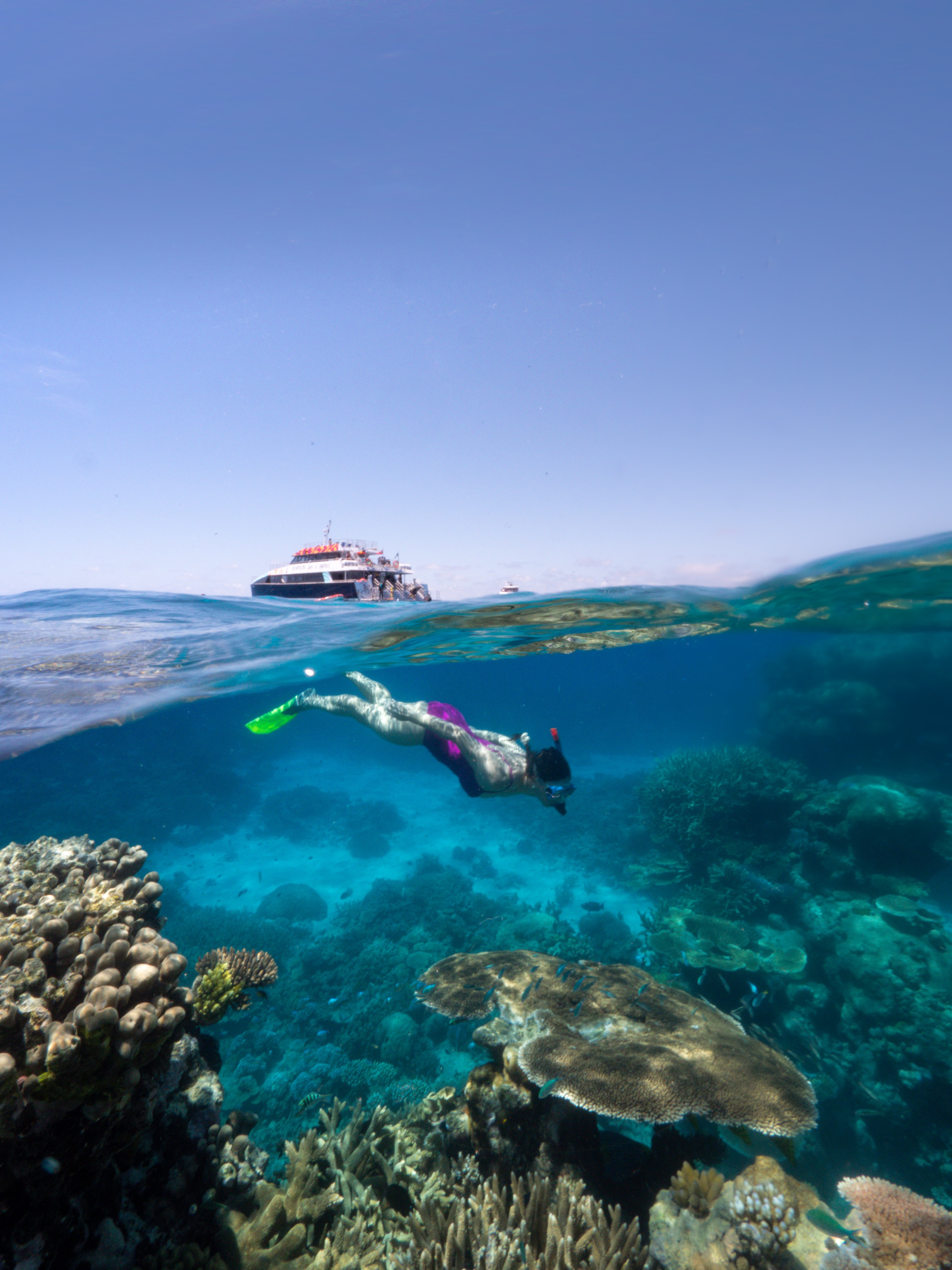 Aus qld cairns great barrier reef dive snorkel credit Tourism and Events Queensland