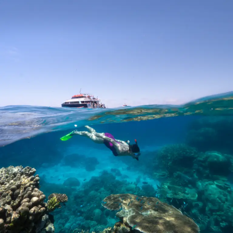 Aus qld cairns great barrier reef dive snorkel credit Tourism and Events Queensland
