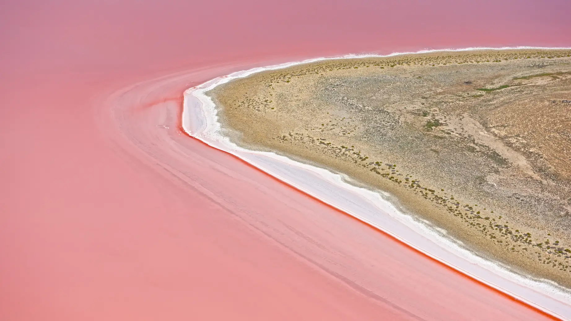 Aus sa Lake Eyre Kati Thanda Lake Eyre National Park SA credit Grant Hunt Photography