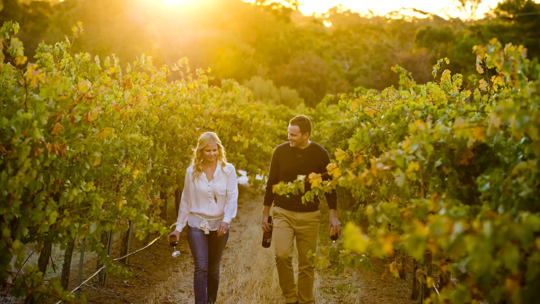 Aus sa clare valley vineyard credit South Australian Tourism Commission
