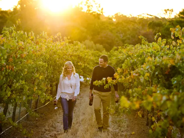 Aus sa clare valley vineyard credit South Australian Tourism Commission
