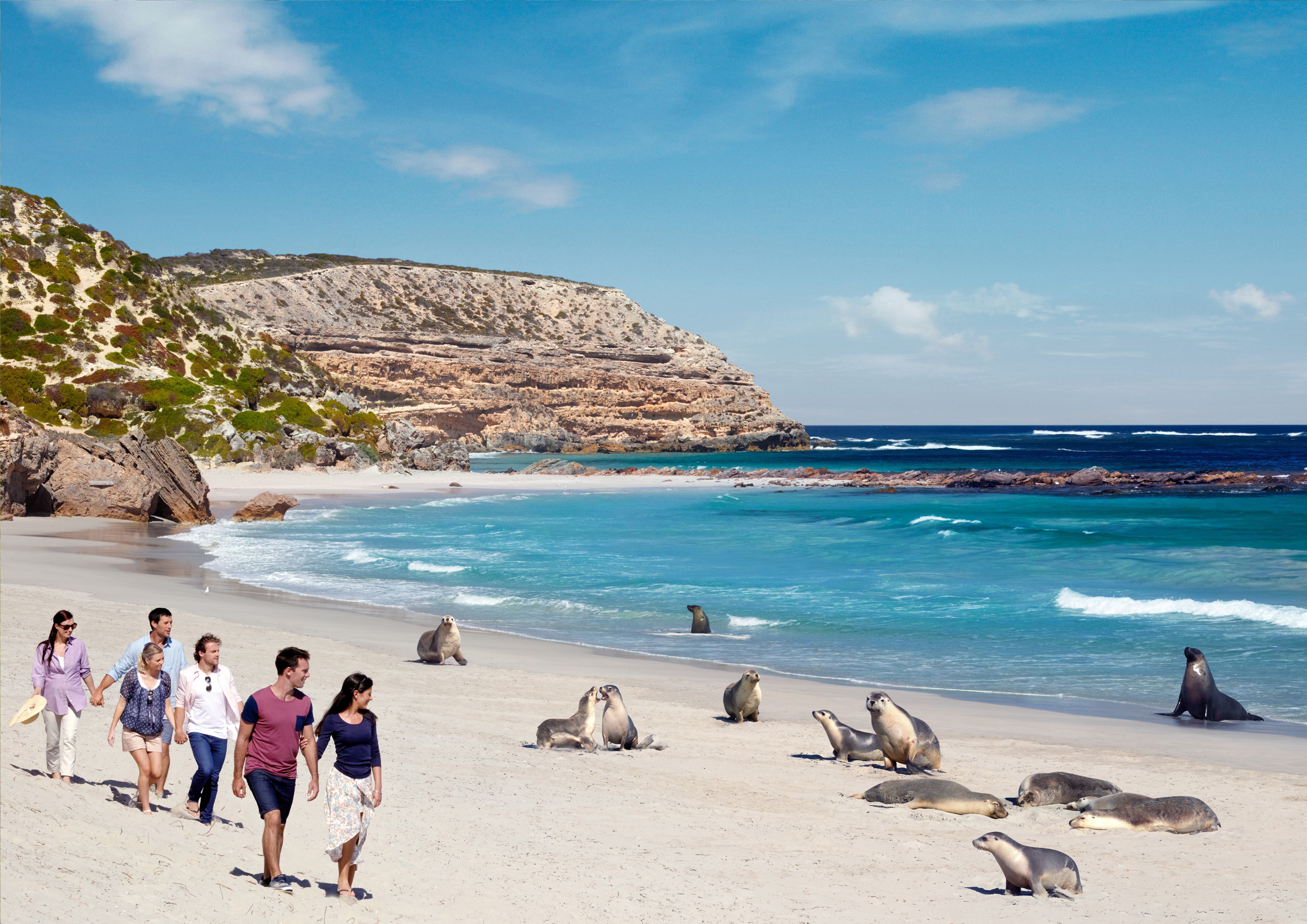 Aus sa kangaroo island seal bay conservation park