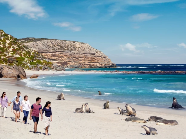 Aus sa kangaroo island seal bay conservation park