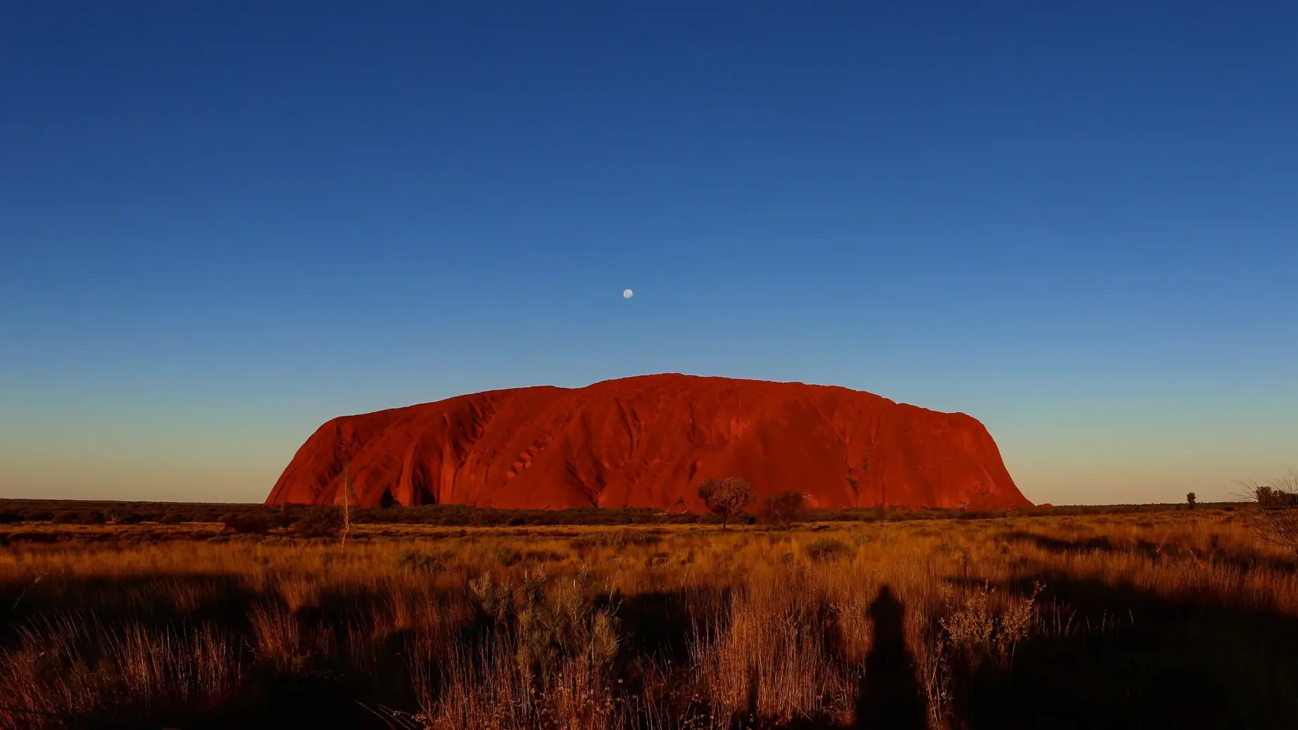 Der Uluru leuchtet in einem tiefen Rot gegen den dunkelblauen Abendhimmel, über dem ein kleiner Vollmond steht.