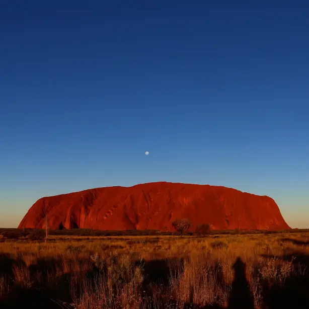 Der Uluru leuchtet in einem tiefen Rot gegen den dunkelblauen Abendhimmel, über dem ein kleiner Vollmond steht.