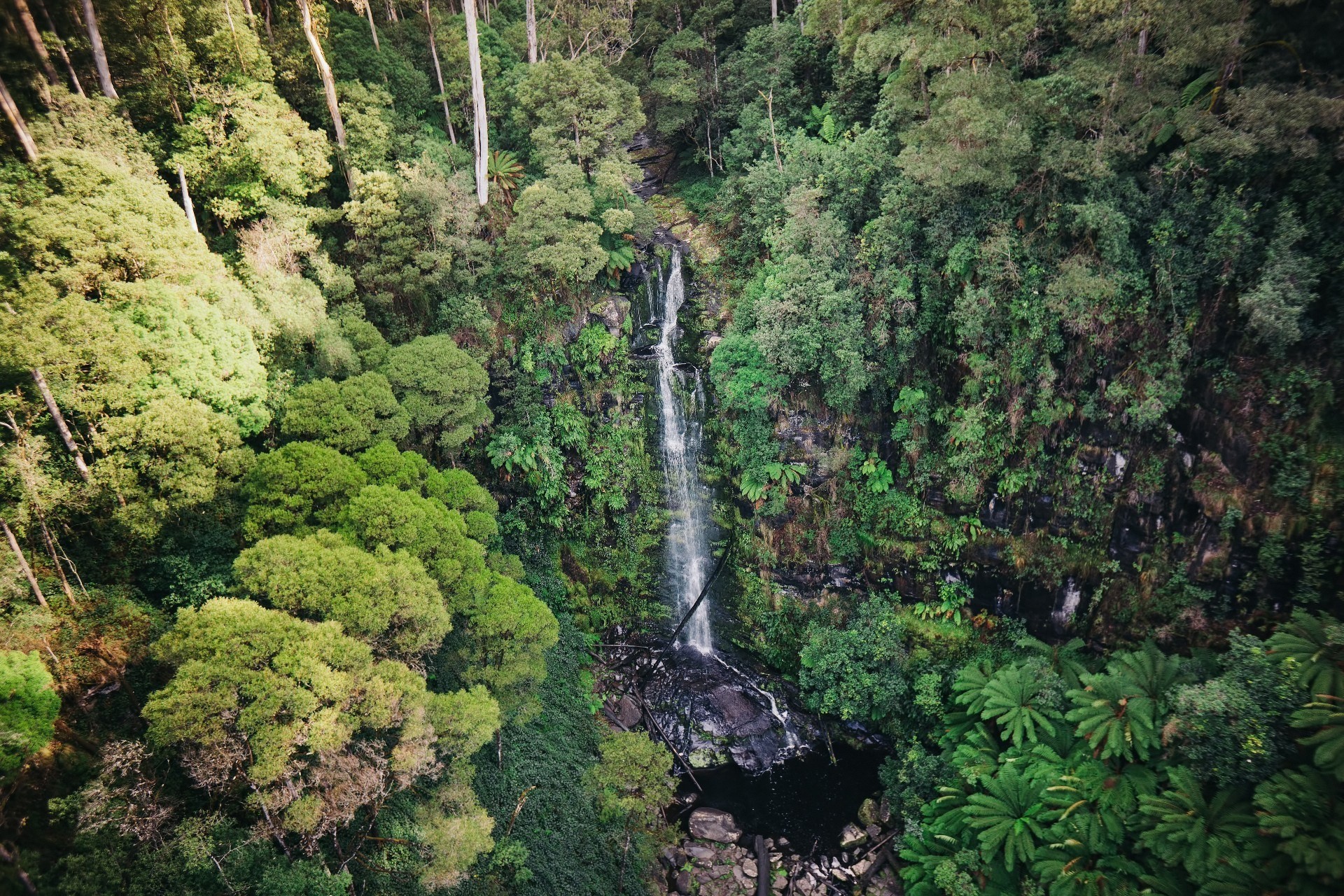 Aus victoria Erskine Falls 1jpg
