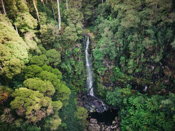 Aus victoria Erskine Falls 1jpg
